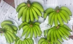 Giá chuối xanh Tết tăng vùn vụt