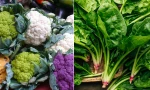 Những loại rau xanh ăn mỗi ngày cực tốt, giúp đào thải mỡ thừa, chống lão hóa