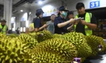 Lý do Thái Lan vội thúc Trung Quốc việc kiểm tra sầu riêng