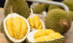  Xuất khẩu sầu riêng lao dốc, nhập từ Thái Lan và Malaysia tăng đột biến