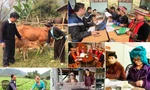 Quy trình giám sát Chương trình mục tiêu quốc gia phát triển KT-XH vùng dân tộc thiểu số