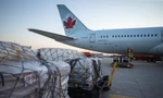 Hàng viện trợ cho Ukraine được đưa lên máy bay tại sân bay Pearson, Toronto, Canada. Ảnh: AP