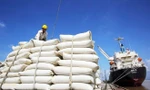 Yêu cầu không làm khó người dân vay vốn sản xuất lúa gạo