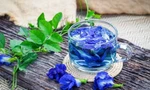 Hoa đậu biếc cực tốt cho sức khoẻ nhưng sẽ thành 'độc dược' nếu uống theo cách này