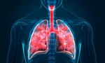Phát hiện tế bào mới giúp duy trì hệ hô hấp khỏe mạnh 