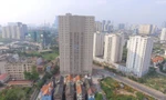 Thanh tra 'vạch' loạt sai phạm chung cư Intracom 1 của Shark Việt