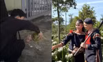 Mùng 3 Tết: H'Hen Niê "mở bát" tình duyên, Bùi Công Nam "yếu nghề" khi gặp fan