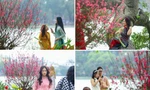 Đào bung sắc bên thảm hoa rực rỡ, 'nàng thơ' đua nhau chụp ảnh quanh hồ Hoàn Kiếm