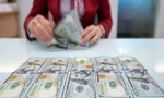Quy định mới về chứng khoán, lãi suất tiền gửi bằng USD
