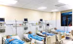 Cả nhà ngộ độc nấm, 1 người chết, 5 người cấp cứu tại bệnh viện