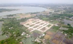Bất thường trong việc giao đất làm dự án King Bay 125 ha ở Đồng Nai
