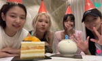 BLACKPINK livestream kỷ niệm 8 năm: Cảm động nhiều, meme "cảm lạnh" không ít