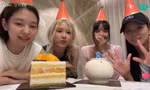 BLACKPINK livestream kỷ niệm 8 năm: Cảm động nhiều, meme "cảm lạnh" không ít