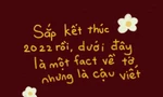 Thử thách Một fact về tớ nhưng là cậu viết: Gen Z thích chơi nhưng sợ "quê" vì không ai trả lời