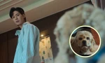 The Glory 2: Cú twist Jae Jun đối xử với "boss cưng" khiến netizen "ngã ngửa"