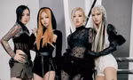 YG lên lịch 2025, fan sợ "nói được không làm được": BLACKPINK trở lại đầu năm
