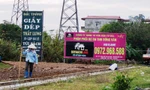 Pa nô quảng cáo, phân phối dự án TNR Đồng Văn