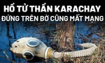 [Infographics] Ám ảnh hồ tử thần Karachay, đứng trên bờ cũng mất mạng