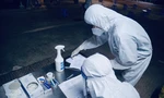 Công tác lấy mẫu xét nghiệm được thực hiện khẩn trương cả ngày và đêm để khoanh vùng, dập dịch.