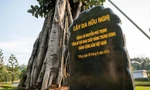 Cây đa đặc biệt trong khuôn viên cửa khẩu Hữu Nghị Việt - Trung