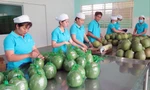 Doanh nghiệp mong các bộ, ngành tích cực đàm phán mở cửa thị trường xuất khẩu cho các mặt hàng rau quả