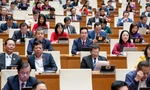 Các đại biểu Quốc hội tham gia kỳ họp thứ 8