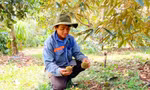Anh Nhật đã đầu tư công sức, tiền của cho vụ sầu này