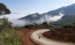 Đường lên đỉnh Sa Mù nơi có độ cao 1.400 so với mực nước biển