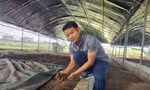 Nguyễn Thành Luân giới thiệu sản phẩm giun quế