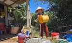 Cống Bà Xẩm (huyện Long Phú, Sóc Trăng) đóng để ngăn mặn. Ảnh: Nhật Huy