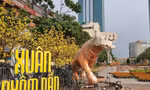 Ðường hoa Nguyễn Huệ 2022 đã sẵn sàng đón khách từ 27 tháng Chạp 