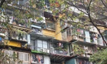 Các khu tập thể cũ tăng giá vì nhu cầu nhà ở lớn. Ảnh: Như Ý