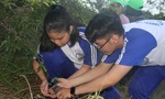 Học sinh hào hứng khi được trải nghiệm hoạt động trồng cây trên núi Cô Tiên. Ảnh: THỤC HIỀN