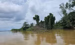 Bờ cồn Sơn trên sông Hậu (giữa Cần Thơ - Vĩnh Long) sạt lở, làm diện tích thu hẹp. Ảnh: Hoà Hội