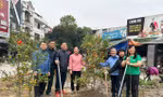 Việc “tái sinh” cây cảnh sau Tết được người dân nhiều nơi ủng hộ