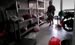 Thịt được phân loại, bày trên kệ chờ nhân viên mang đi giao