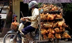 Mỗi ngày hơn 10 tấn gà loại thải Trung Quốc vào Hà Nội