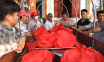 Người dân làng chài làm điều đặc biệt ở nghĩa địa cá Ông lớn nhất Việt Nam