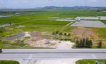 Dự án 2.300 tỷ của FLC ở Thanh Hóa dang dở, xin sửa kênh mương để làm nông