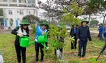 Tuổi trẻ Thanh Hóa phát động Tết trồng cây