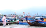Tàu thuyền neo đậu san sát ở cảng cá lớn nhất miền Trung trước giờ bão đổ bộ