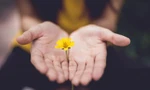 Sau biến cố lớn, lòng nhân ái và sự cảm thông cũng quan trọng như tính mạng vậy