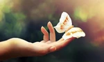 Trong rất nhiều bản-kế-hoạch cuộc đời, đã bao giờ em dành thời gian để nghĩ tới "Plan B"?