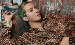 Mino WINNER lần đầu đóng phim cùng "Ảnh đế" Yoo Ah In nhưng fan chỉ lo idol "tấu hài"