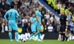 Trước trận Brighton - Tottenham, 23h30 ngày 8/10: ‘Làm thịt’ Gà trống 