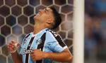 Luis Suarez đối diện nguy cơ phải thay khớp gối