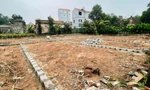 Giao dịch tăng nhưng giá đất nền 'ăn theo' Vành đai 4 vẫn đi ngang