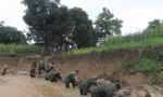 Hàng chục cầu dân sinh xuống cấp, Kon Tum lên kịch bản chủ động ứng phó thiên tai