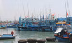 Hàng loạt tàu cá nằm bờ ở Cảng cá Hòn Rớ, xã Phước Đồng, TP Nha Trang. Ảnh: Vĩ Cầm