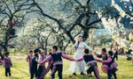 Những ngày Mộc Châu 'trắng trời' hoa mận
